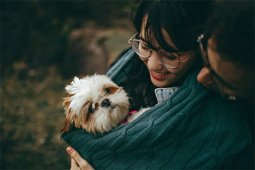 CBD pour chats : ce que tout propriétaire doit savoir avant d'essayer